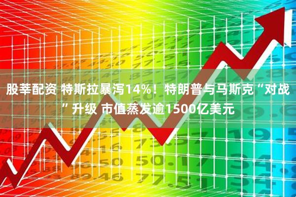 股莘配资 特斯拉暴泻14%！特朗普与马斯克“对战”升级 市值蒸发逾1500亿美元