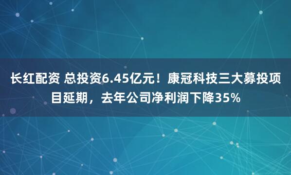 长红配资 总投资6.45亿元！康冠科技三大募投项目延期，去年公司净利润下降35%