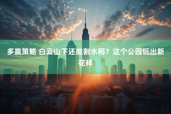 多赢策略 白云山下还能割水稻？这个公园玩出新花样