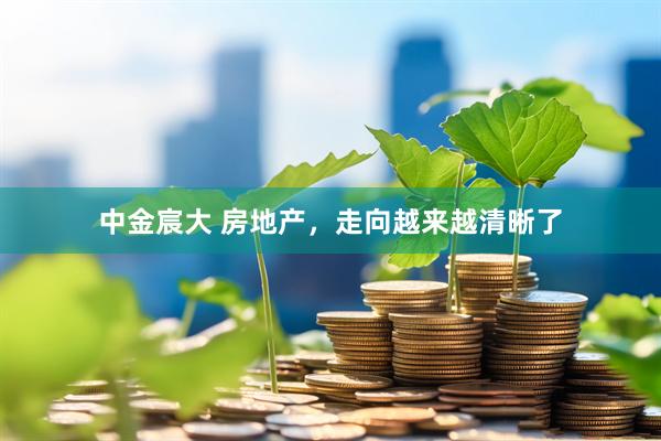 中金宸大 房地产，走向越来越清晰了