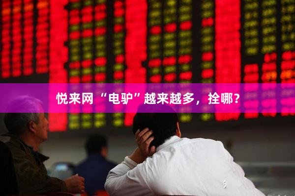 悦来网 “电驴”越来越多，拴哪？