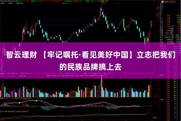 智云理财 【牢记嘱托·看见美好中国】立志把我们的民族品牌搞上去