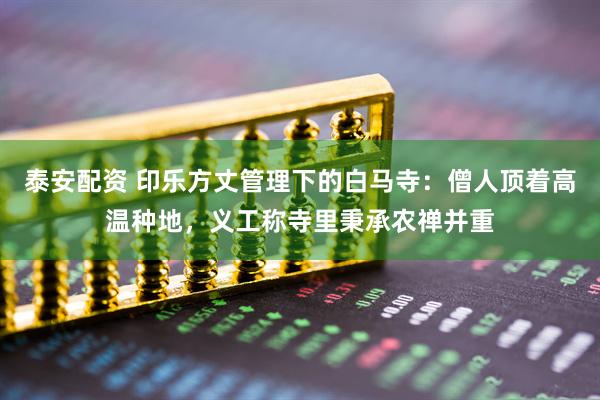 泰安配资 印乐方丈管理下的白马寺：僧人顶着高温种地，义工称寺里秉承农禅并重