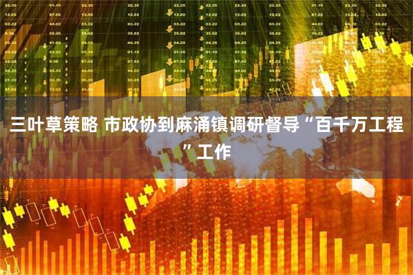 三叶草策略 市政协到麻涌镇调研督导“百千万工程”工作