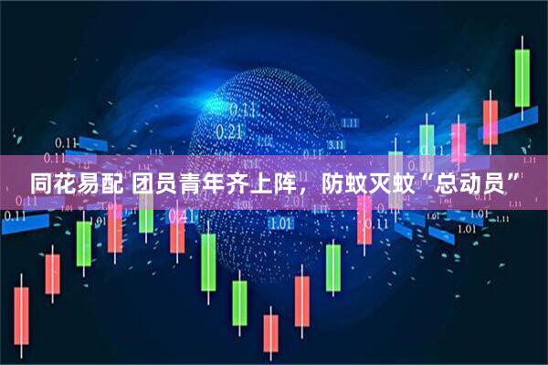 同花易配 团员青年齐上阵，防蚊灭蚊“总动员”