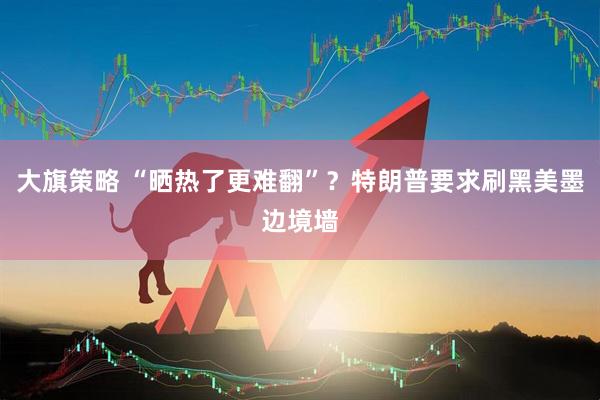 大旗策略 “晒热了更难翻”？特朗普要求刷黑美墨边境墙