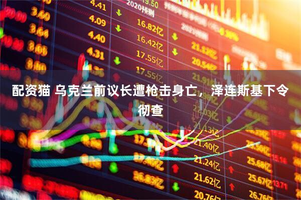 配资猫 乌克兰前议长遭枪击身亡，泽连斯基下令彻查