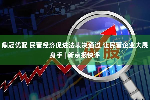 鼎冠优配 民营经济促进法表决通过 让民营企业大展身手 | 新京报快评
