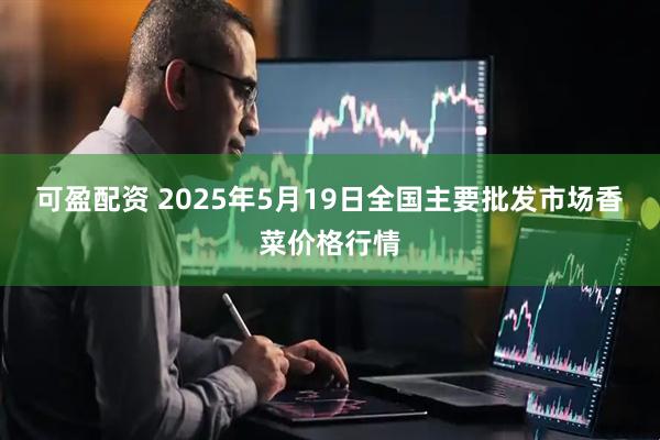 可盈配资 2025年5月19日全国主要批发市场香菜价格行情