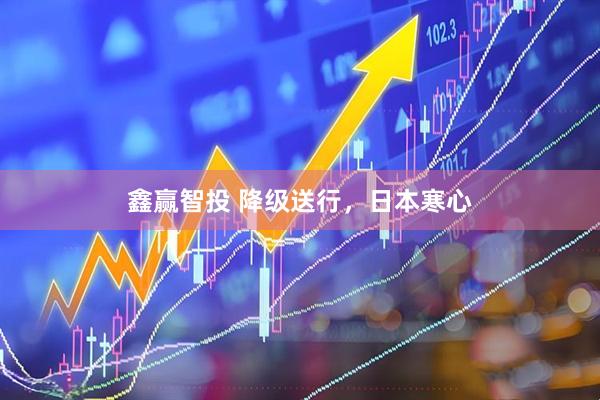 鑫赢智投 降级送行，日本寒心